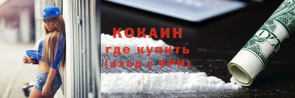 ГАЛЛЮЦИНОГЕННЫЕ ГРИБЫ Горняк