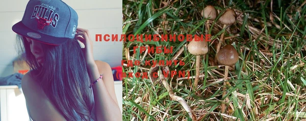 МДПВ Вязники