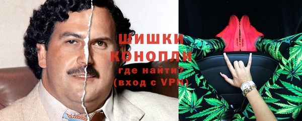 ГАЛЛЮЦИНОГЕННЫЕ ГРИБЫ Горняк