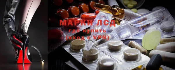 ГАЛЛЮЦИНОГЕННЫЕ ГРИБЫ Горняк