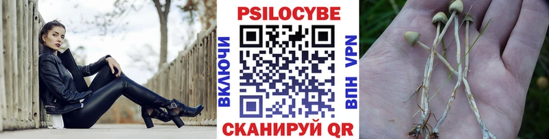 Псилоцибиновые грибы Psilocybe  где найти   hydra маркетплейс  Изобильный 